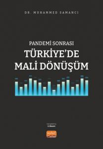 Pandemi Sonrası Türkiye’de Mali Dönüşüm